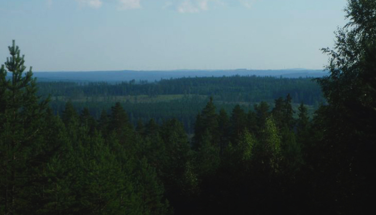 Bilden visar en vybild över skog.